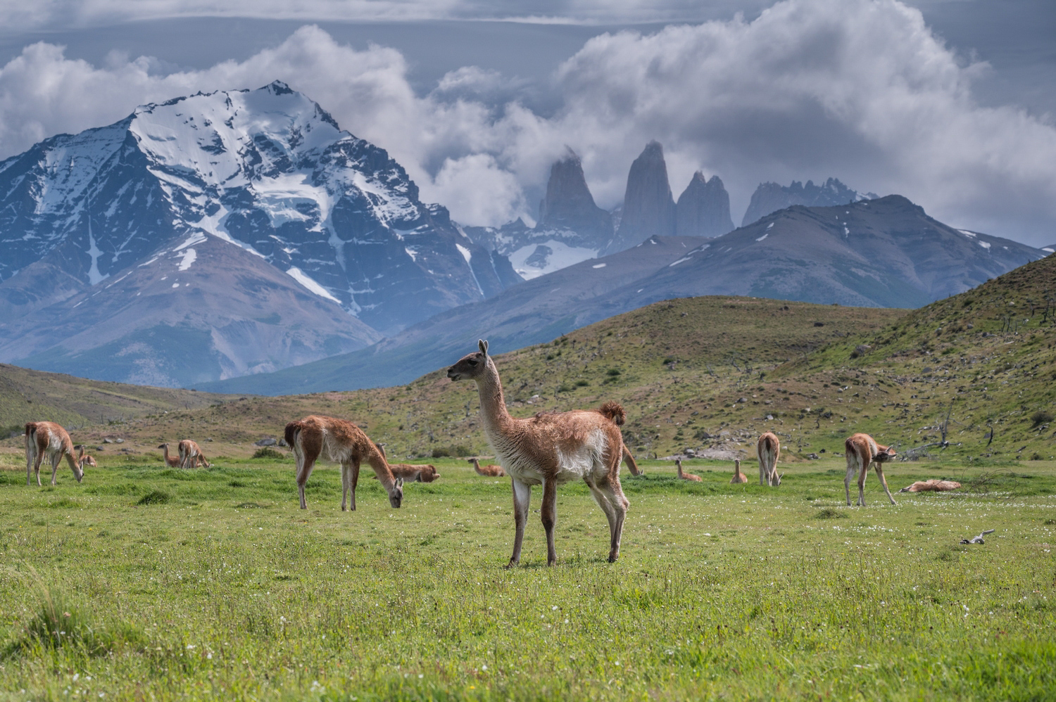 Your Most Frequent Questions about Patagonia Answered in Videos